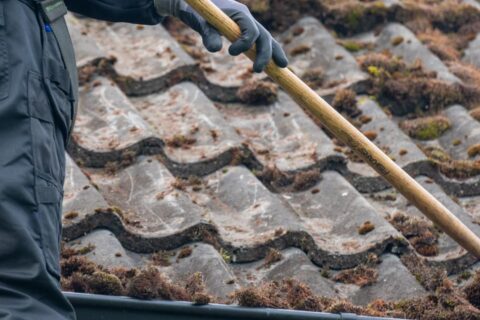 Berkshire, Hampshire & Wiltshire Roof Moss Removal Experts