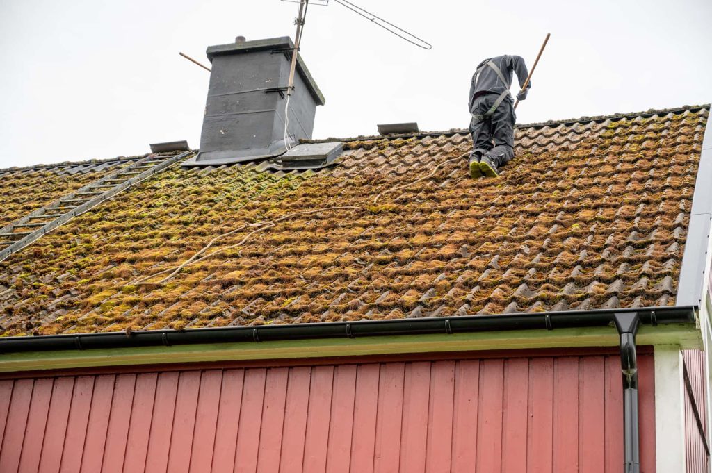 Roof moss removal Berkshire, Hampshire & Wiltshire roof moss removal