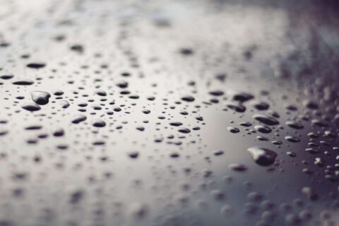 Professional Damp Proofing in Berkshire, Hampshire & Wiltshire