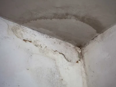 Damp proofing company near me Basingstoke